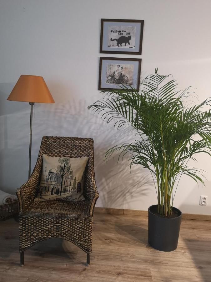 Villa Garden Paryski ออลชติน ภายนอก รูปภาพ